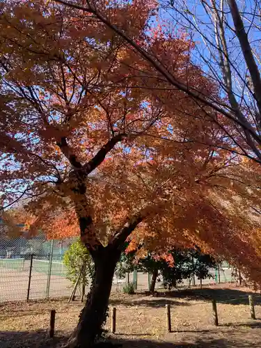 永福寺跡（永福寺址）の自然