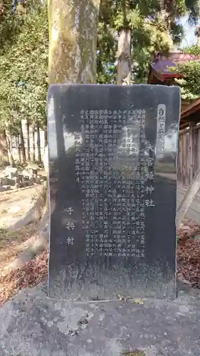 大宮姫神社の歴史