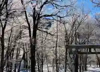 穂高神社奥宮(長野県)