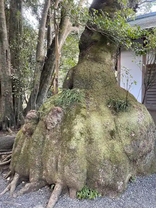伊雜宮(皇大神宮別宮)の自然