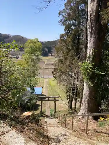 志鳥八幡宮の自然