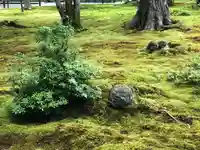 三千院門跡のその他建物