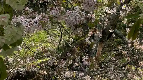 萬松山大雄寺(宮城県)