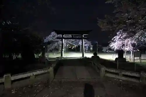 田村神社の鳥居