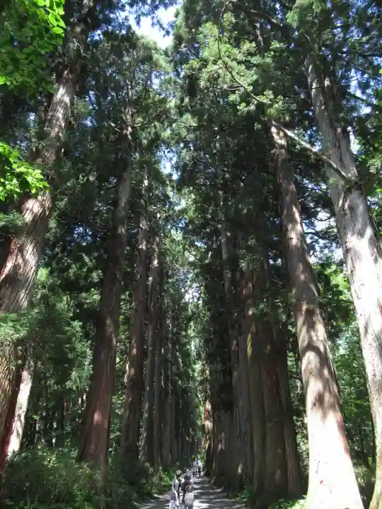 戸隠神社奥社(長野県)