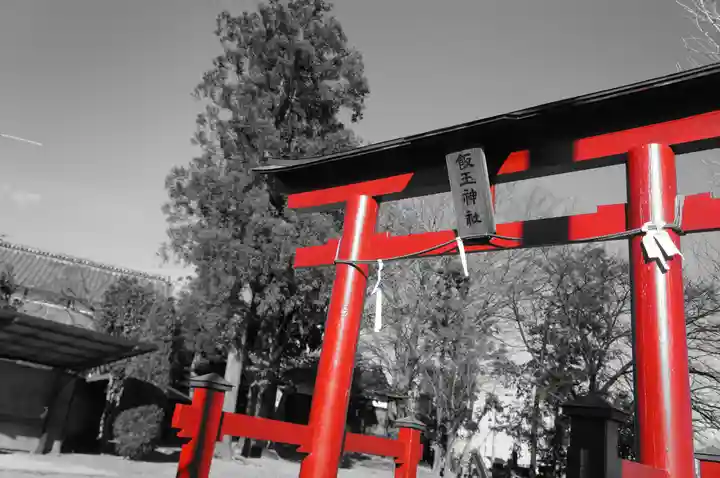 飯玉神社の鳥居