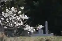 国宝 大法寺(長野県)