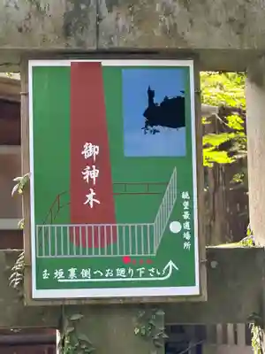 霧島神宮(鹿児島県)