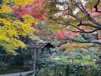 厭離庵(京都府)