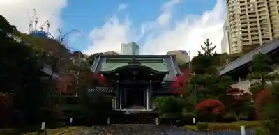 青松寺の本殿・本堂