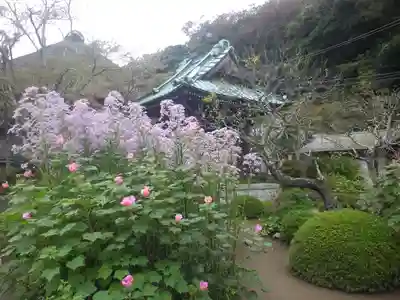 海蔵寺のその他建物