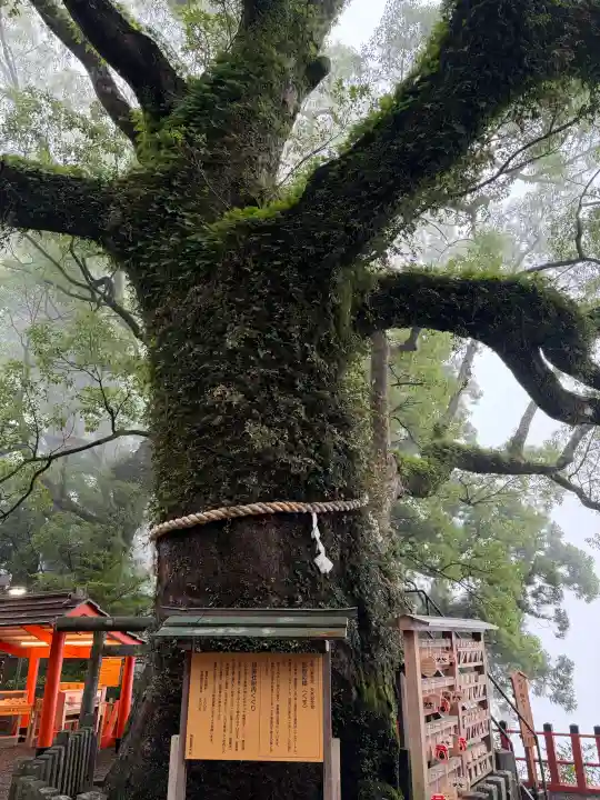 熊野那智大社(和歌山県)