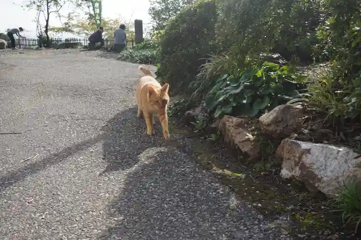 唐澤山神社の動物