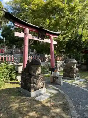 末廣神社の{uncategorized: "未分類", other: "その他", undefined: "問題あり", building: "その他建物", grave: "お墓", sacred_gate: "鳥居", guardian: "狛犬", statue: "像", buddha: "仏像", history: "歴史", nature: "自然", garden: "庭園", animal: "動物", pagoda: "塔", temizu: "手水舎", mountain_gate: "山門・神門", sanctuary: "本殿・本堂", subordinate: "末社・摂社", art: "芸術", scenery: "景色", jizo: "地蔵", ema: "絵馬", goshuin: "御朱印", omikuji: "おみくじ", items: "授与品その他", amulet: "お守り", goshuincho: "御朱印帳", eats: "食事", festival: "お祭り", votive_dance: "神楽", shichigosan: "七五三参", wedding: "結婚式", experience: "体験その他", initially: "初詣", around: "周辺", anti_infection: "感染症対策"}