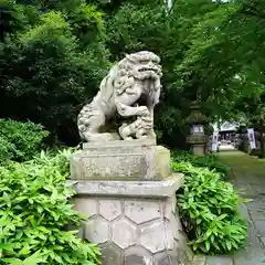 神炊館神社 ⁂奥州須賀川総鎮守⁂の狛犬