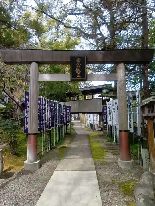 白金龍王社(愛知県)