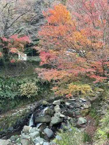 大山阿夫利神社(神奈川県)