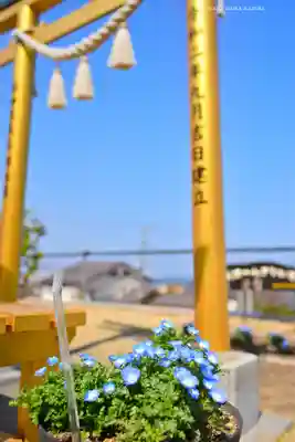 ほしいも神社(茨城県)