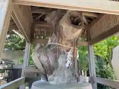 延寿寺の自然