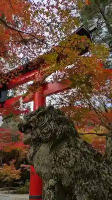 鍬山神社(京都府)