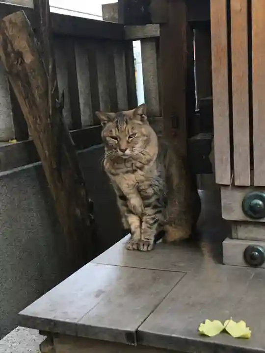 小野照崎神社の動物
