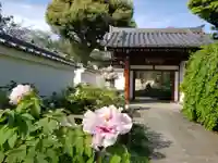 圓照寺の山門・神門