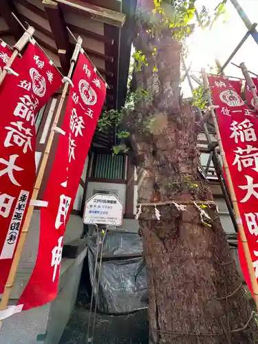 諏訪神社の自然