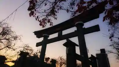尾張大國霊神社(国府宮)の鳥居