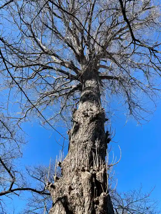 無量寺(東京都)