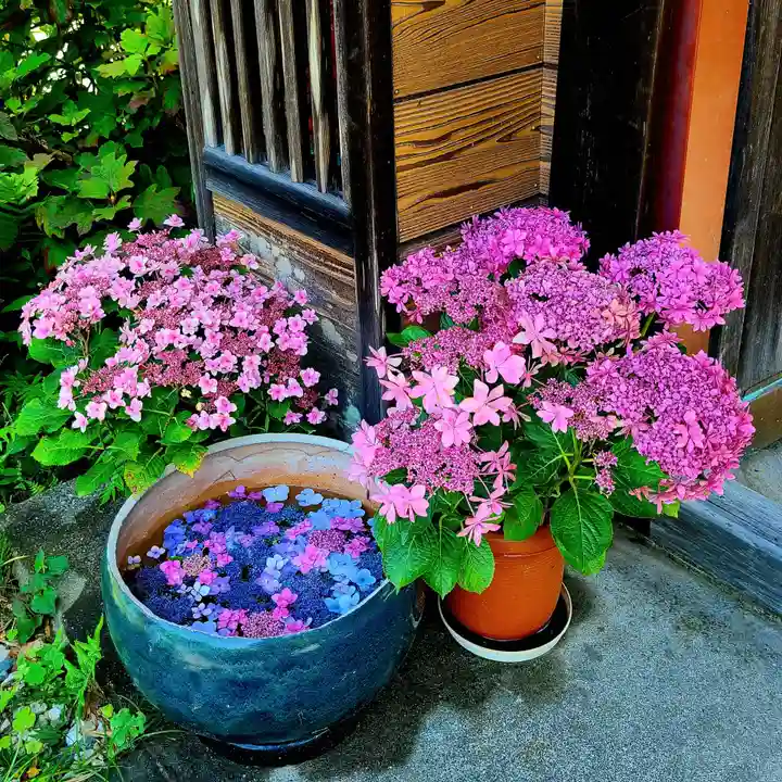 極楽寺(静岡県)