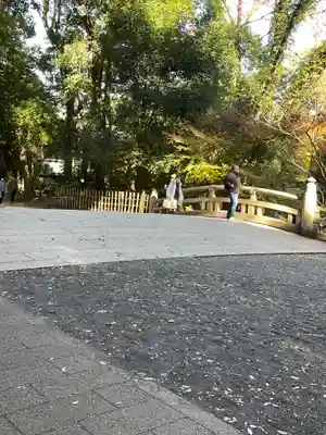 明治神宮(東京都)