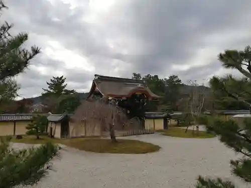 大覚寺の庭園