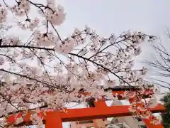 亀戸天神社の自然