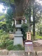 武田神社(山梨県)