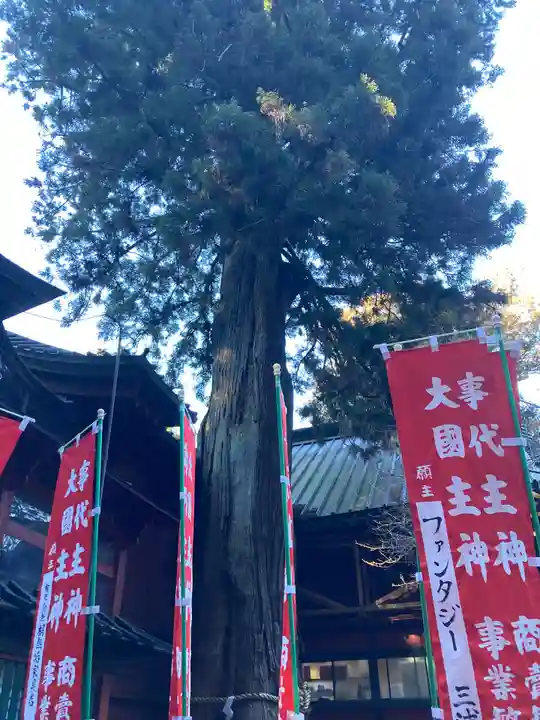 北口本宮冨士浅間神社の自然