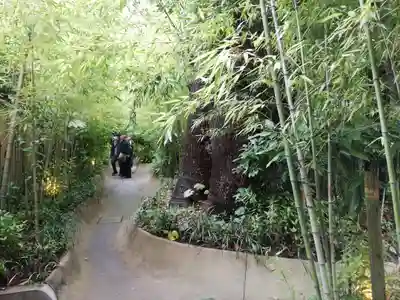 來宮神社(静岡県)