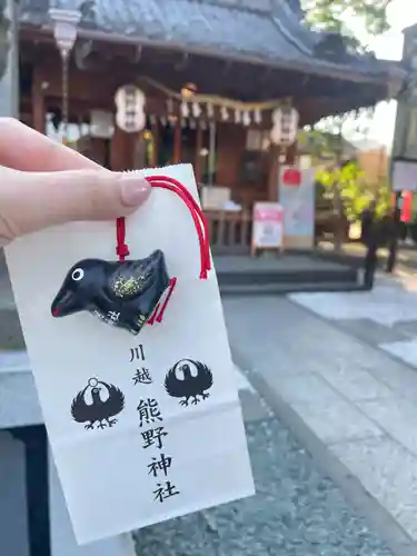 川越熊野神社(埼玉県)