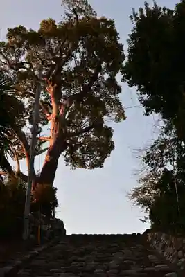 湯神社(愛媛県)