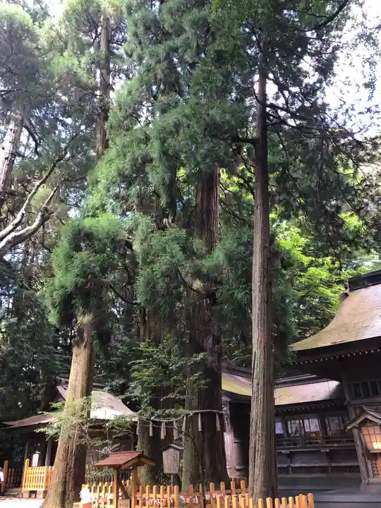 高千穂神社のその他建物