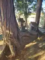 一本松稲荷神社の自然