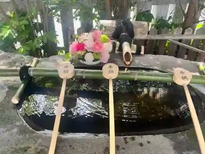 一宮神社の{uncategorized: "未分類", other: "その他", undefined: "問題あり", building: "その他建物", grave: "お墓", sacred_gate: "鳥居", guardian: "狛犬", statue: "像", buddha: "仏像", history: "歴史", nature: "自然", garden: "庭園", animal: "動物", pagoda: "塔", temizu: "手水舎", mountain_gate: "山門・神門", sanctuary: "本殿・本堂", subordinate: "末社・摂社", art: "芸術", scenery: "景色", jizo: "地蔵", ema: "絵馬", goshuin: "御朱印", omikuji: "おみくじ", items: "授与品その他", amulet: "お守り", goshuincho: "御朱印帳", eats: "食事", festival: "お祭り", votive_dance: "神楽", shichigosan: "七五三参", wedding: "結婚式", experience: "体験その他", initially: "初詣", around: "周辺", anti_infection: "感染症対策"}