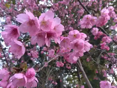 大社神社(愛知県)