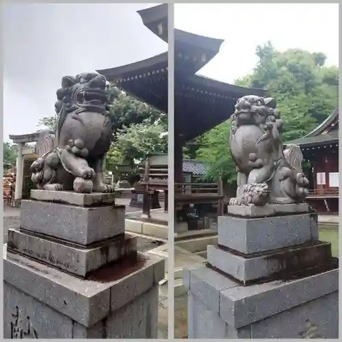 赤羽八幡神社の狛犬