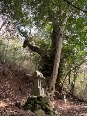 稲荷神社(千葉県)