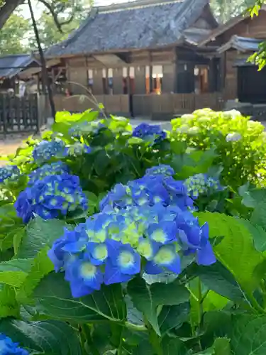 天宮神社の自然