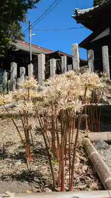 玉田神社(京都府)