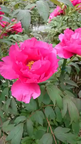 総持寺の庭園