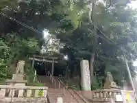 代々木八幡宮の{uncategorized: "未分類", other: "その他", undefined: "問題あり", building: "その他建物", grave: "お墓", sacred_gate: "鳥居", guardian: "狛犬", statue: "像", buddha: "仏像", history: "歴史", nature: "自然", garden: "庭園", animal: "動物", pagoda: "塔", temizu: "手水舎", mountain_gate: "山門・神門", sanctuary: "本殿・本堂", subordinate: "末社・摂社", art: "芸術", scenery: "景色", jizo: "地蔵", ema: "絵馬", goshuin: "御朱印", omikuji: "おみくじ", items: "授与品その他", amulet: "お守り", goshuincho: "御朱印帳", eats: "食事", festival: "お祭り", votive_dance: "神楽", shichigosan: "七五三参", wedding: "結婚式", experience: "体験その他", initially: "初詣", around: "周辺", anti_infection: "感染症対策"}