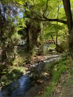 白川吉見神社(熊本県)
