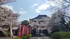 本法寺の山門